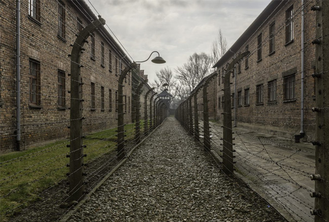 internationa-documentary-film-mobile internationa-documentary-film-mobile