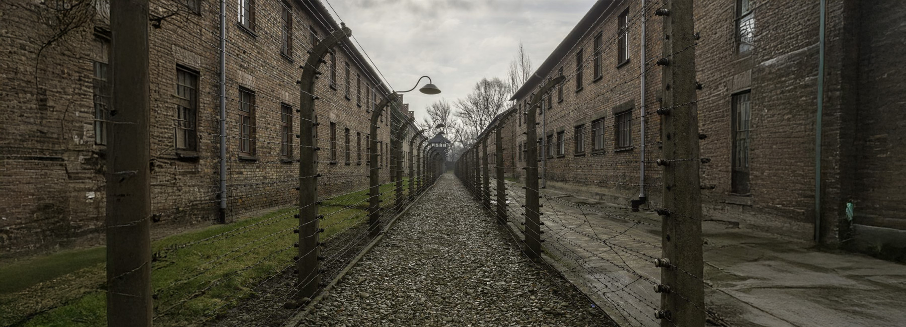 international-documentary-film international-documentary-film